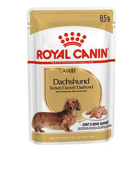 royal canin miniature dachshund