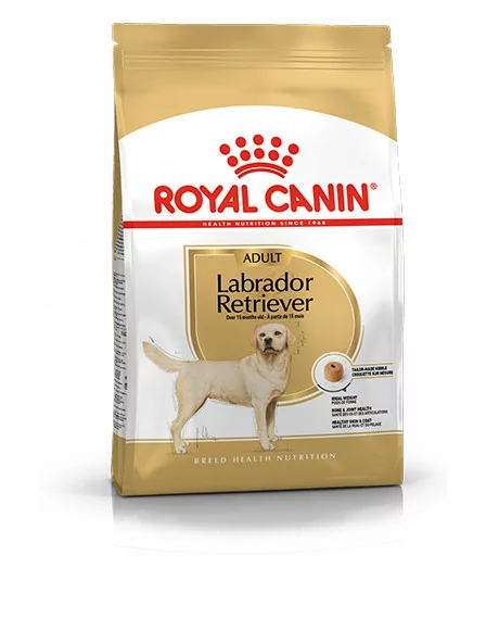 royal canin lab adult