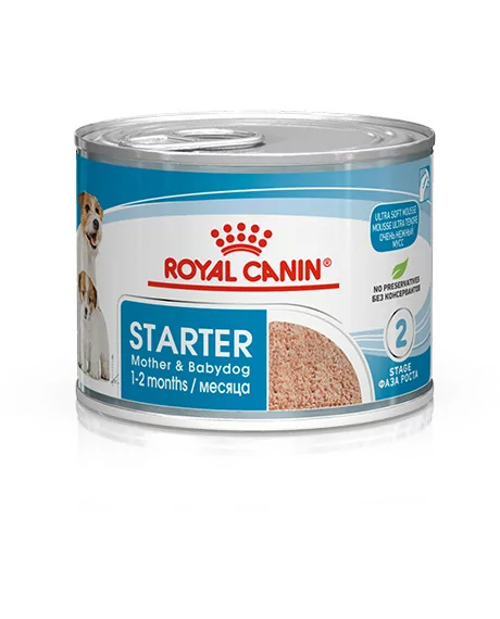 royal canin starter mousse