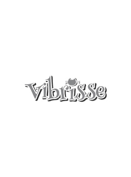 Vibrisse